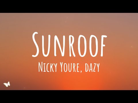 Nicky Youre, dazy - Sunroof (Lyrics)