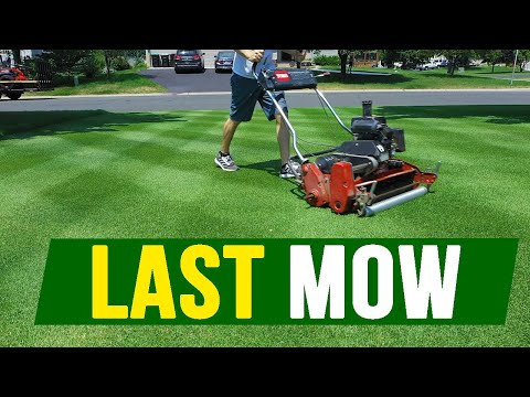 LAST MOW of the Summer - WHAT? ALREADY? Why???