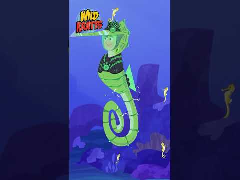 Activate Seahorse Powers | Wild Kratts