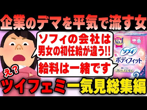 ツイフェミ 企業の営業妨害をした結果  一気見まとめ総集編！【作業用】【ツイフェミ】