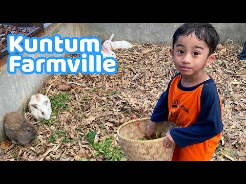 Kuntum Farmville Adventure