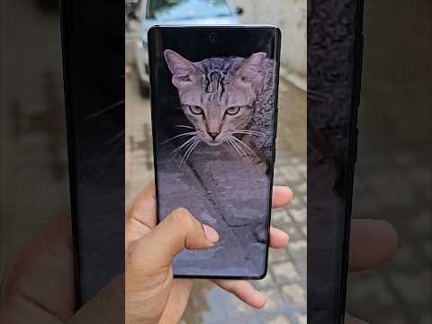 Vivo V30e Camera Test 🔥