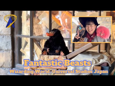 Interact with Fantastic Beasts in the Wizarding World of Harry Potter at Universal Studios Japan