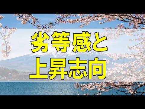 テレフォン人生相談🌻 a #今井通子 ＃人生相談 劣等感と上昇志向