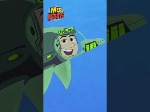 Activate Dolphin Powers | Wild Kratts