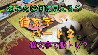 【猫文字動画第2弾】あなたには何に見える？