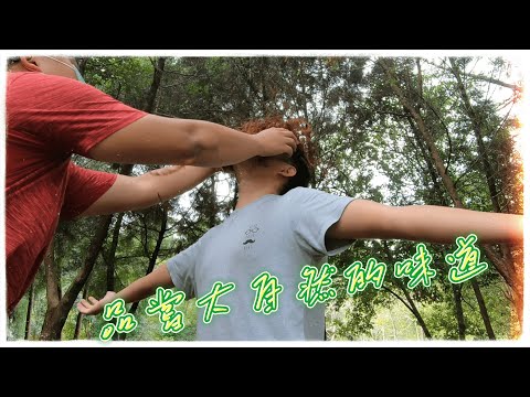 【台中溜達#10】孩子放電的天堂｜太平苗圃落羽松、馬卡龍運動公園｜