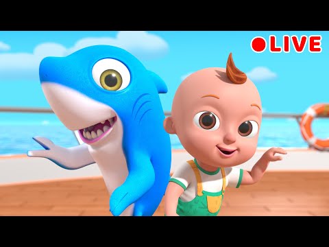 Baby Shark + more Nursery Rhymes | Beep Beep Nursery Rhymes & Baby Songs