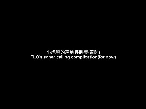 小虎鲸的声纳呼叫集(暂时) / TLO’s sonar calling complication (for now)