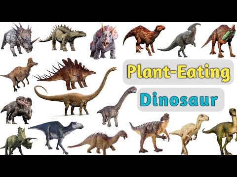 Dinosaur Vocabulary ll 40 Plant Eating Dinosaurs Name In English With Pictures ll Dinosaur Pictures