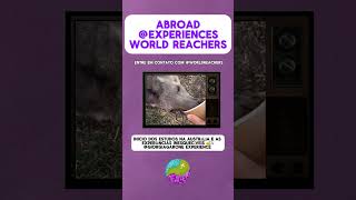 GET TO KNOW WORLD REACHERS #internationalstudy