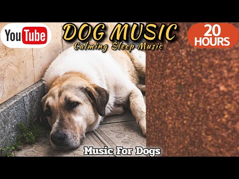 20 HOURS of Dog Calming Music🐶🎵Dog Separation Anxiety Music💖🦮Music for Dogs to Sleep⭐Healingmate