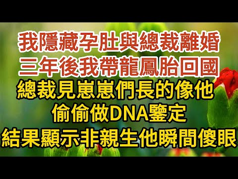 《隱藏孕肚離婚》第02集：我隱藏孕肚與總裁離婚，三年後我帶龍鳳胎回國，總裁見崽崽們長的像他，偷偷做DNA鑒定，結果顯示非親生他瞬間傻眼…… #戀愛#婚姻#情感 #愛情#甜寵#故事#小說#霸總