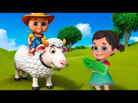 Baa Baa White Sheep New Compilation | Animal Farm Song | Nursery Rhymes and Kids Songs | Baby Bobo