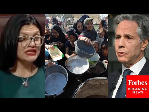 'Sec. Blinken Has Continued To Lie To Congress And Should Resign': Tlaib Blasts Lacking Gaza Aid