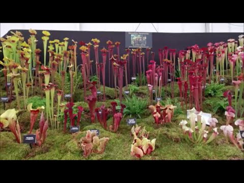 Gardeners World Live 2024 Walk Round Tour