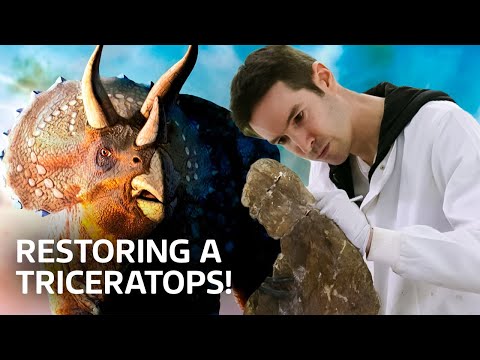 Restoring Ancient Dinosaur Fossils | Our History