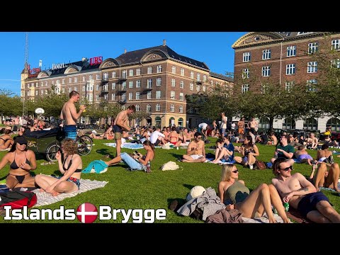 🇩🇰 Islands Brygge Harbor Beach | 4K Beach Walk | Copenhagen Denmark | September 2023