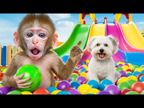 KiKi Monkey try Waterpark Challenge with swimming at Pool | KUDO ANIMAL KIKI