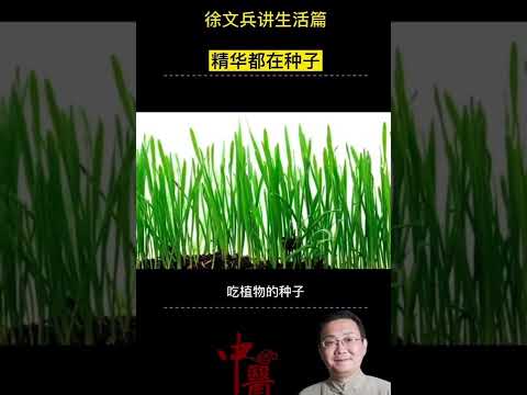 要吃种子，节省消耗身体能量，才能长寿