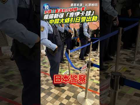 【41J肉聲】中國大媽瘋搶新宿「吉伊卡哇」好賤！塞滿包只結帳一隻　引日警出動｜鏡週刊