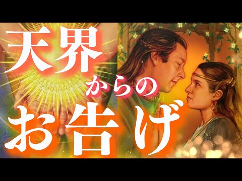 【あなたに贈る💡】天界からのお告げ🕊️🧡🧡出会った時がタイミング‼️深堀個人鑑定級/タロット&オラクルカードリーディング