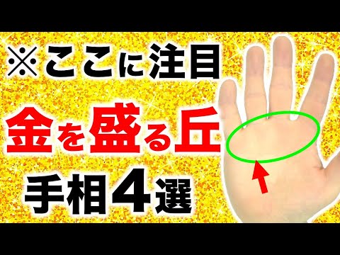 【手相】金運が盛り上がる！黄金の丘手相４選【三峰隆起紋・黄金の道】