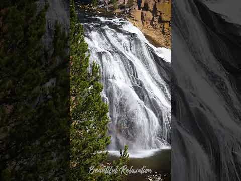 Relaxing Yellowstone Waterfall - Gibbon Falls #relaxing #calm #whitenoise #waterfall #nature