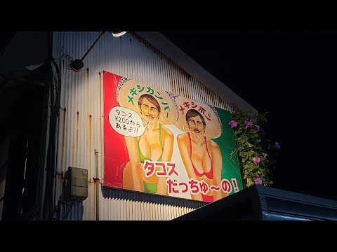 愛知県豊橋市出張Vlog