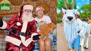 Disney’s Animal Kingdom HOLIDAYS! NEW - Dinoland’s LAST Christmas, Santa, Special Characters & More