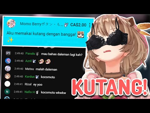 Tupai Ini Kalo Dah Ngajarin Bule Bhs Indonesia Nguwawor Cik! [Ayunda Risu]