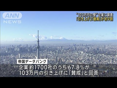 “年収103万円の壁” 企業の9割近くが見直し求める　民間調査(2024年11月14日)