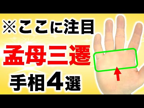 【手相】人を活かし育てる！孟母三遷手相４選