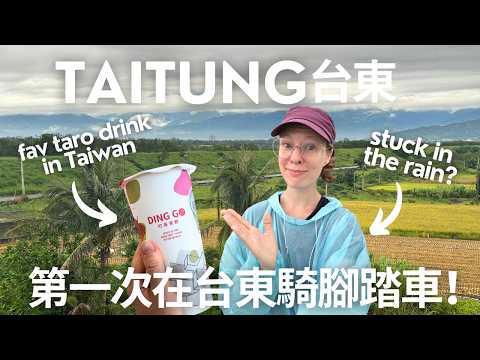 Cycling Taiwan’s BEAUTIFUL East Coast ✨ [Liji Badlands, Xiaoyeliu, & Taitung's DINGO tea shop]