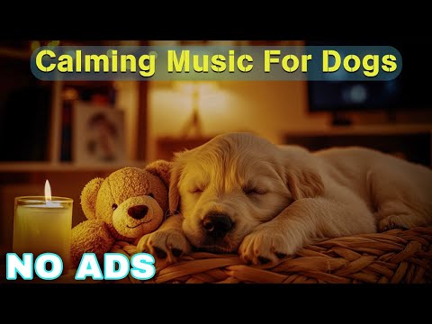 12 HOURS of Dog Calming Music For Dogs🎵💖Anti Separation Anxiety Relief Music🐶Sleep dog Healing🎵