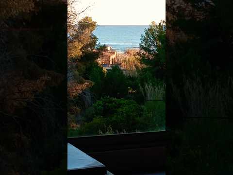 tomando café en Barcelona con vistas al mar 🌊