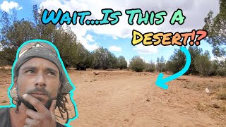 Not All Deserts Are What You Think