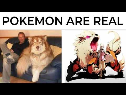 Pokemon Memes