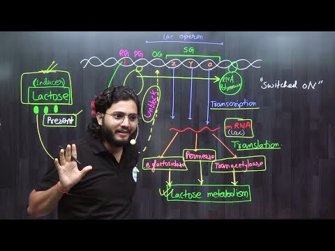 L-19/Ch-6 Regulation Of Gene Expression /Lac Operon Concept 12th BOARD 2025 @BIOLOGYWings