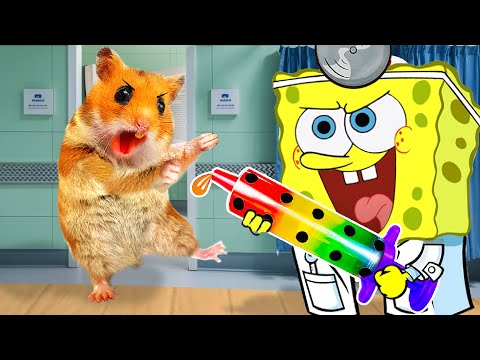 Oh no, Stop It! SpongeBob Pretend A Doctor Check Up Hamster HamHam