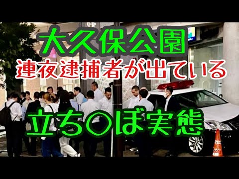 大久保公園～新宿歌舞伎町の実情～家出娘、久々の高身長ハーフネキ、イツメン立ち〇ぼ、自殺多いホテル、コンカフェ嬢、詐欺女1号ゆり、トー横、改造スカG、家に来た19歳娘など色々「東京夜散歩」