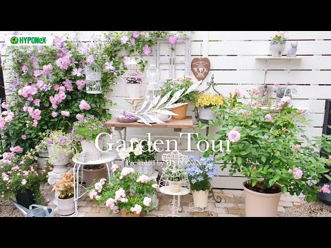 🕊Garden Tour🕊99：女の子のお部屋をイメージした鉢やガーデン雑貨のディスプレイスペースに、庭全体の配色バランスにこだわった花壇など。どこを切り取っても素敵な空間になるように植栽されたお庭