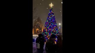 A Magical Holiday Tradition in Downtown Muskegon