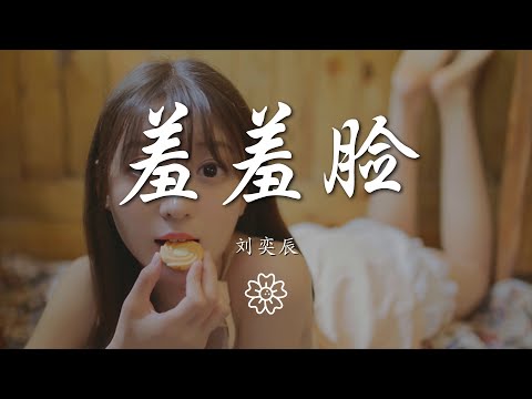 劉奕辰 - 羞羞臉『』【動態歌詞Lyrics】