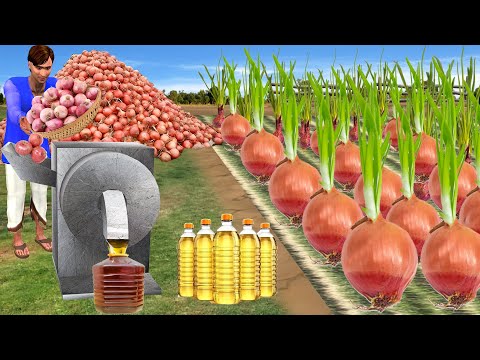 Onion Farmer Homemade Onion Hair Oil Fast Hair Growth Oil Hindi Kahani Moral Stories Comedy Video