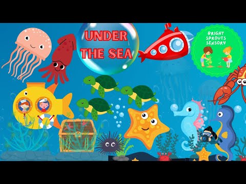 Under the Sea 🌊 | Baby Sensory Video | Soothing Ocean Sounds & Colorful Sea Creatures