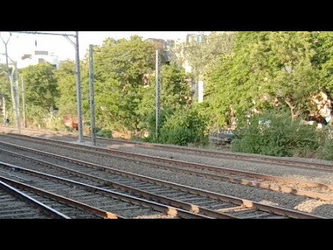 Mumbai local