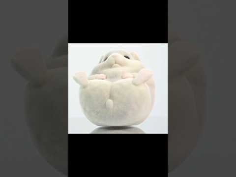 Small Animals Figure short hamster Flying squirrel Guinea pig Chinchilla Lop-eared rabbit candy toys