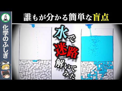 【ゆっくり解説】意思があるのか？存在しました「水は迷路を解けるのか」