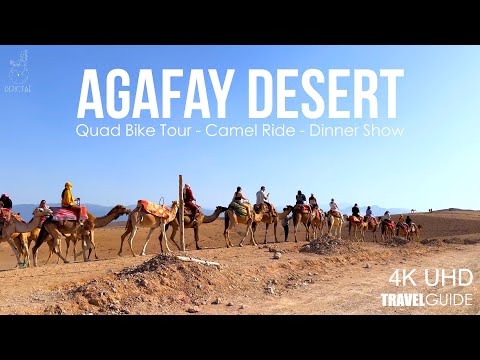 Agafay Desert: Dinner + Show with Quad Bike & Sunset Camel Ride